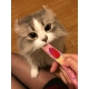 健太郎のブログorインスタ投稿モニター0名様募集！/モニター・サンプル企画