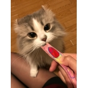 「健太郎のインスタ投稿モニター0名様募集！」の画像、阿部株式会社のモニター・サンプル企画