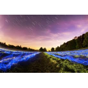 「product after s3 (02)のインスタ投稿モニター5名様募集！」の画像、Company for mysql 8のモニター・サンプル企画